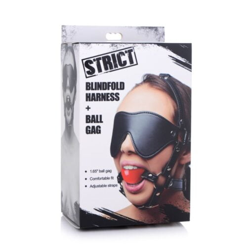 Blindfold Harness w Ball Gag - Image 2