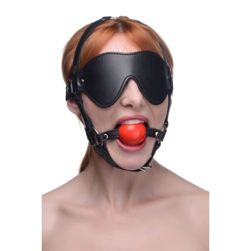 Blindfold Harness w Ball Gag - Image 3