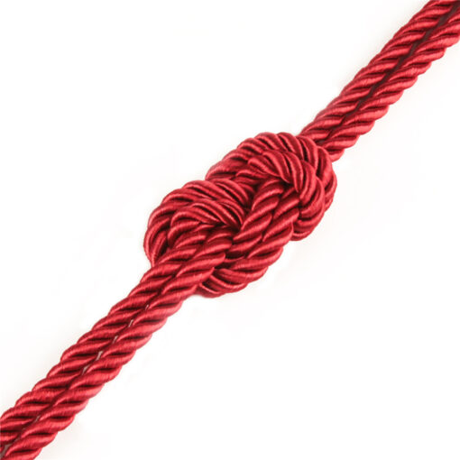 Rebellion Reign Crimson Silky Bondage Rope Red - Image 4